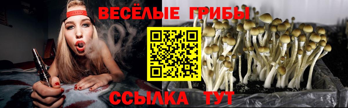 Галлюциногенные грибы мицелий Ишимбай